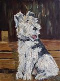 Foxterrier (N.N.)
