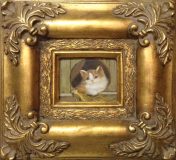 Katze hinter Zaun (N.N.)