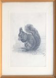 Eichhörnchen (Max Kosmas Zahner)
